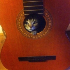 Dog Just Ran Away (Nintendo 64 Alex G remix)