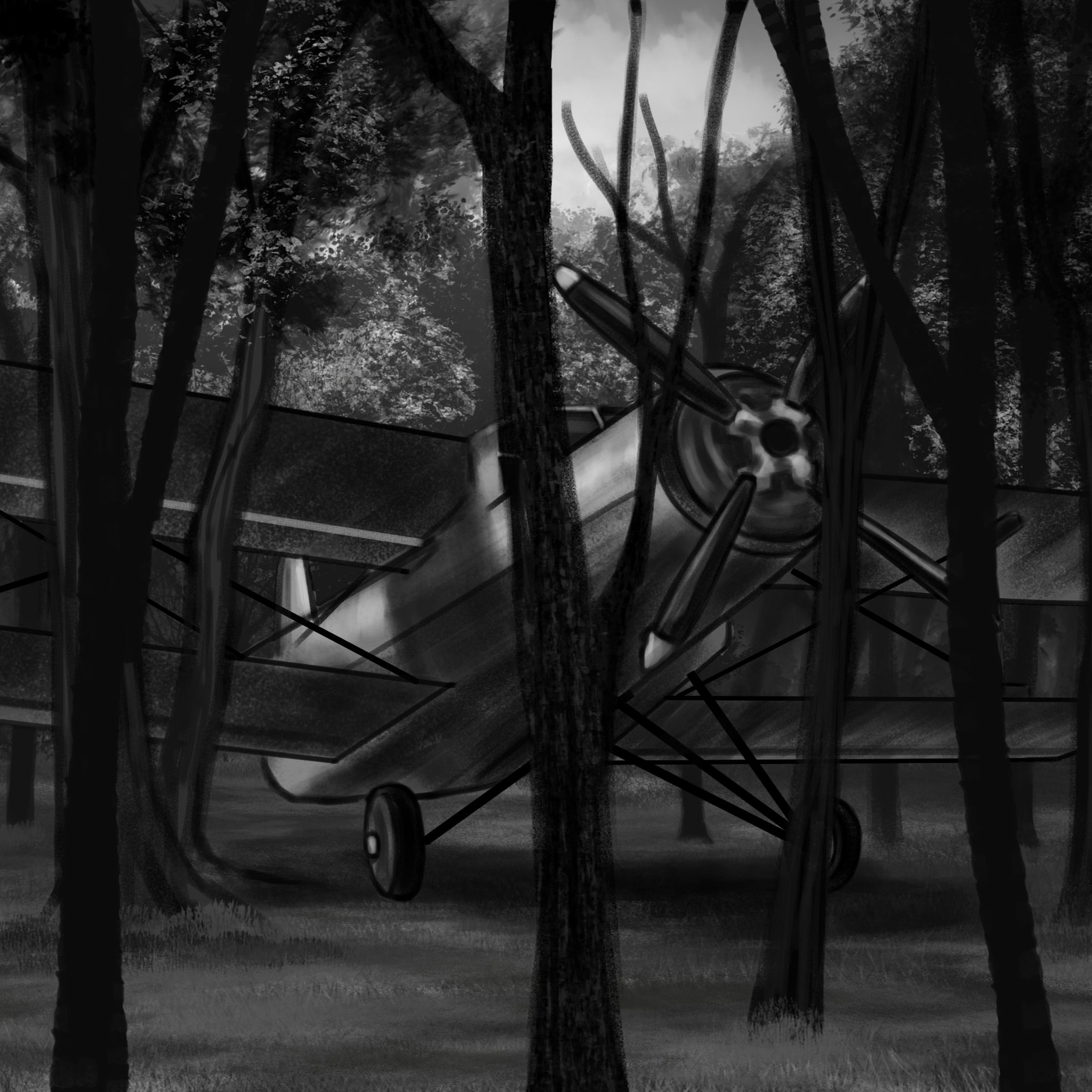 S04E29 - The Plane in the Forest