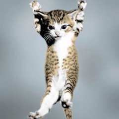 i wish i was the cat for you