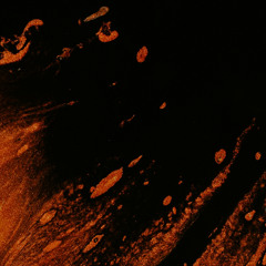 SAMATA (LIVE) at Turbine - 16-05-2025