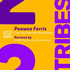 Can you see me breathing - Peewee Ferris (MJM REMIX)