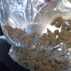 Fnp Matt- Never lose /lastwordrec exclusive 2024