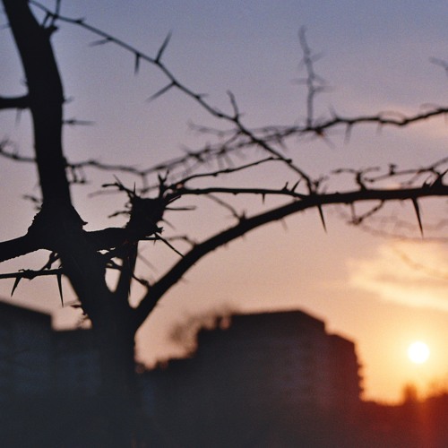 Tuszaszi | GROUNDED set