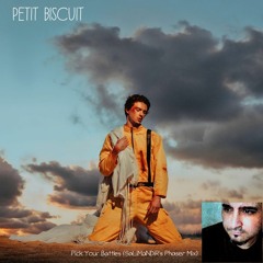 Petit Biscuit - Pick Your Battles (SaLiMaNDiR's Phaser Mix) #PYBRemixContest