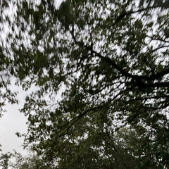 mymomthinksthissongistoosadlol