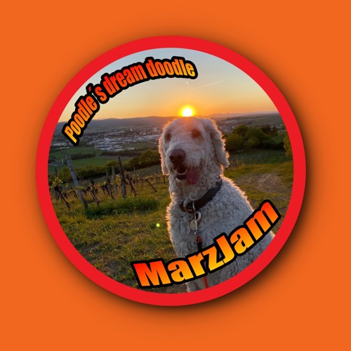 Poodle´s Dream Doodle