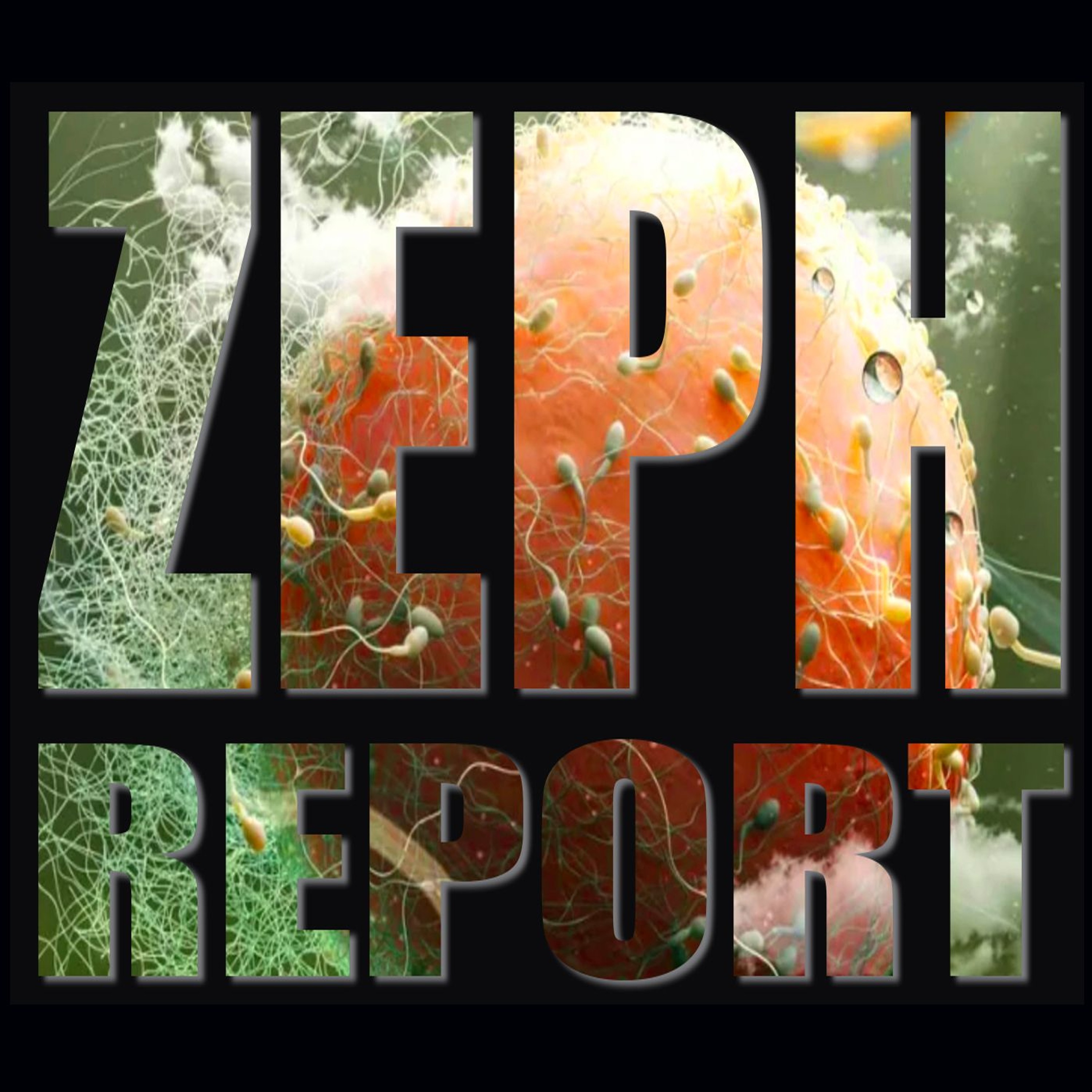 Z Media Worldwide Podcast and Music