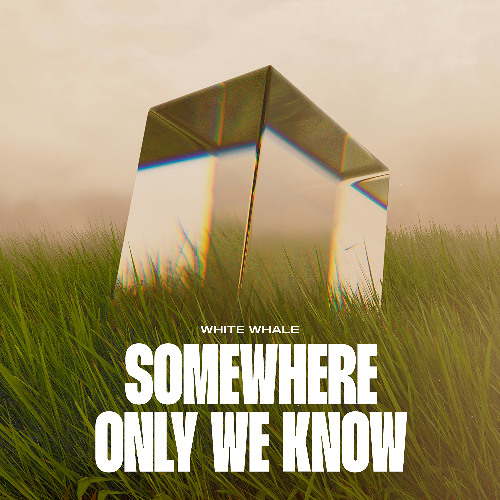 White Whale - Somewhere Only We Know