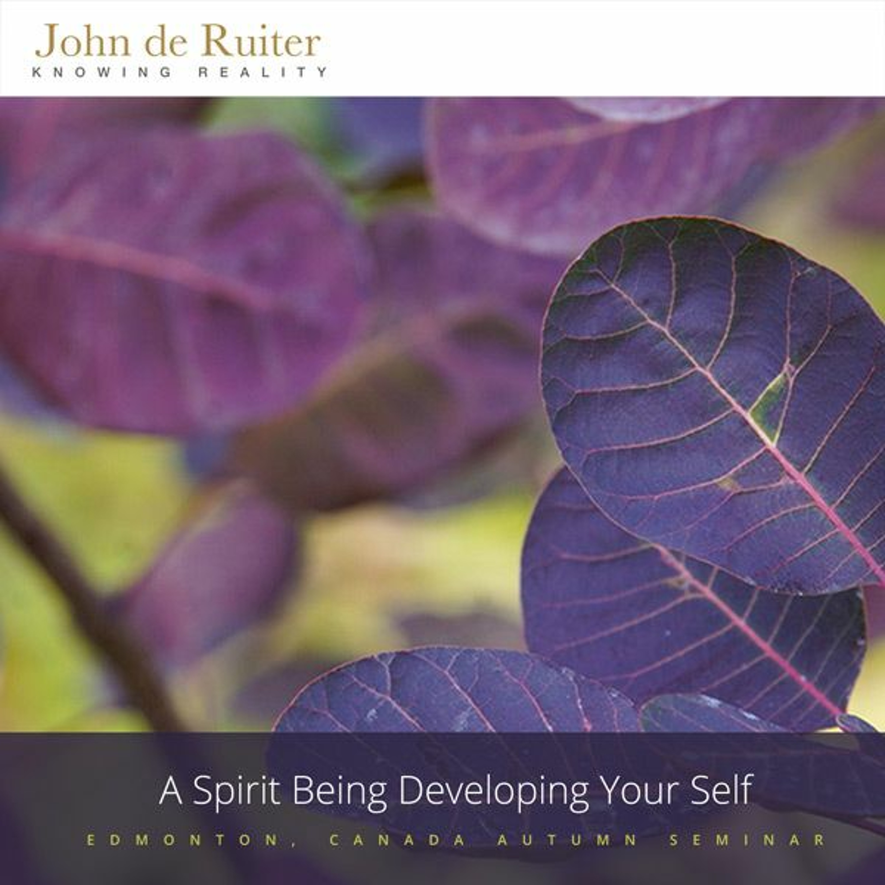 350 - A Spirit Being Developing Your Self - 1 of 1 episode artwork