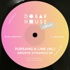 Level the Funk (Original Mix)
