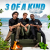 3 of A Kind - Summer Sounds DJ mix artwork - Electronic music tracklist cover image