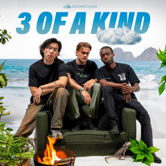 3 of A Kind - Summer Sounds