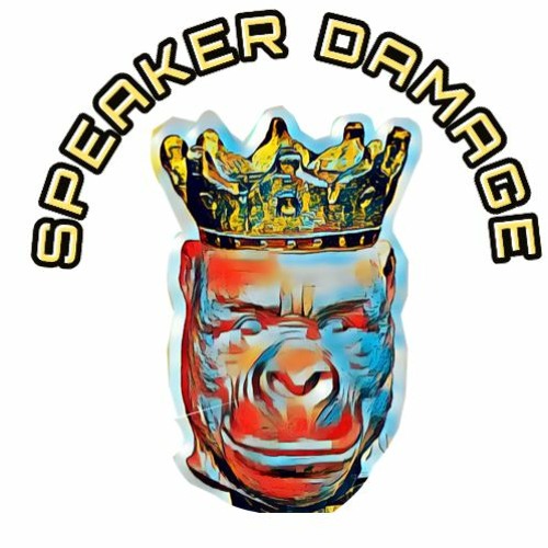 Speaker Damage “Musical Mandala Vol. 1"