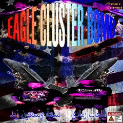 EAGLE CLUSTER BOMB