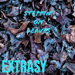 Steppin' On Leaves