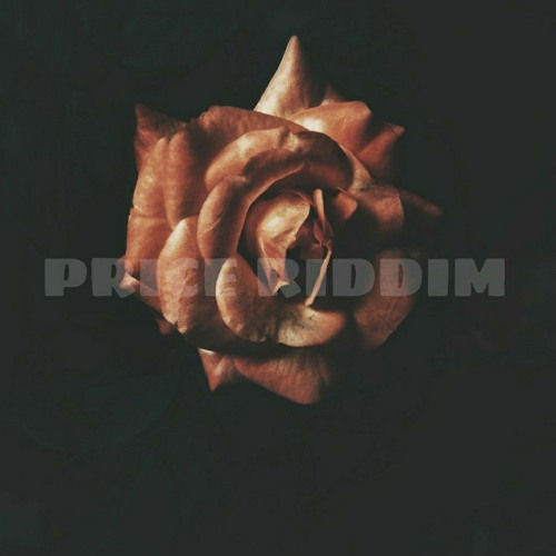 BENZII &  BUSY SIGNAL - POOM AHH ..._[PRICE RIDDIM]