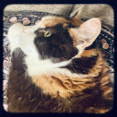 The Shift- a poem from the book DEATHB3D BLING