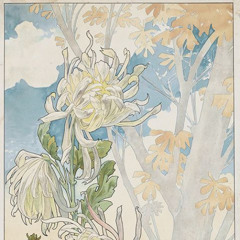 piano sonata no. 7489 in V minor op /4