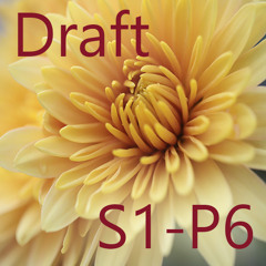 Draft S1-P6