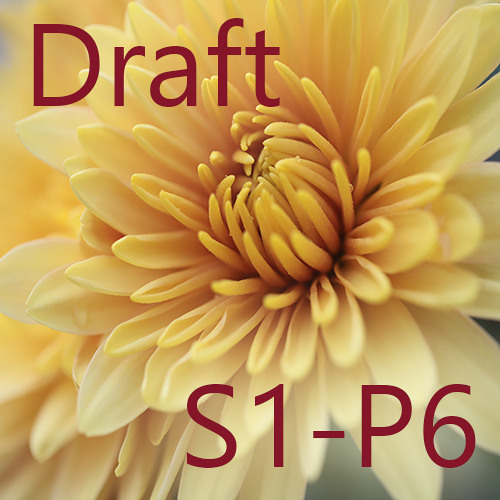 Draft S1-P6