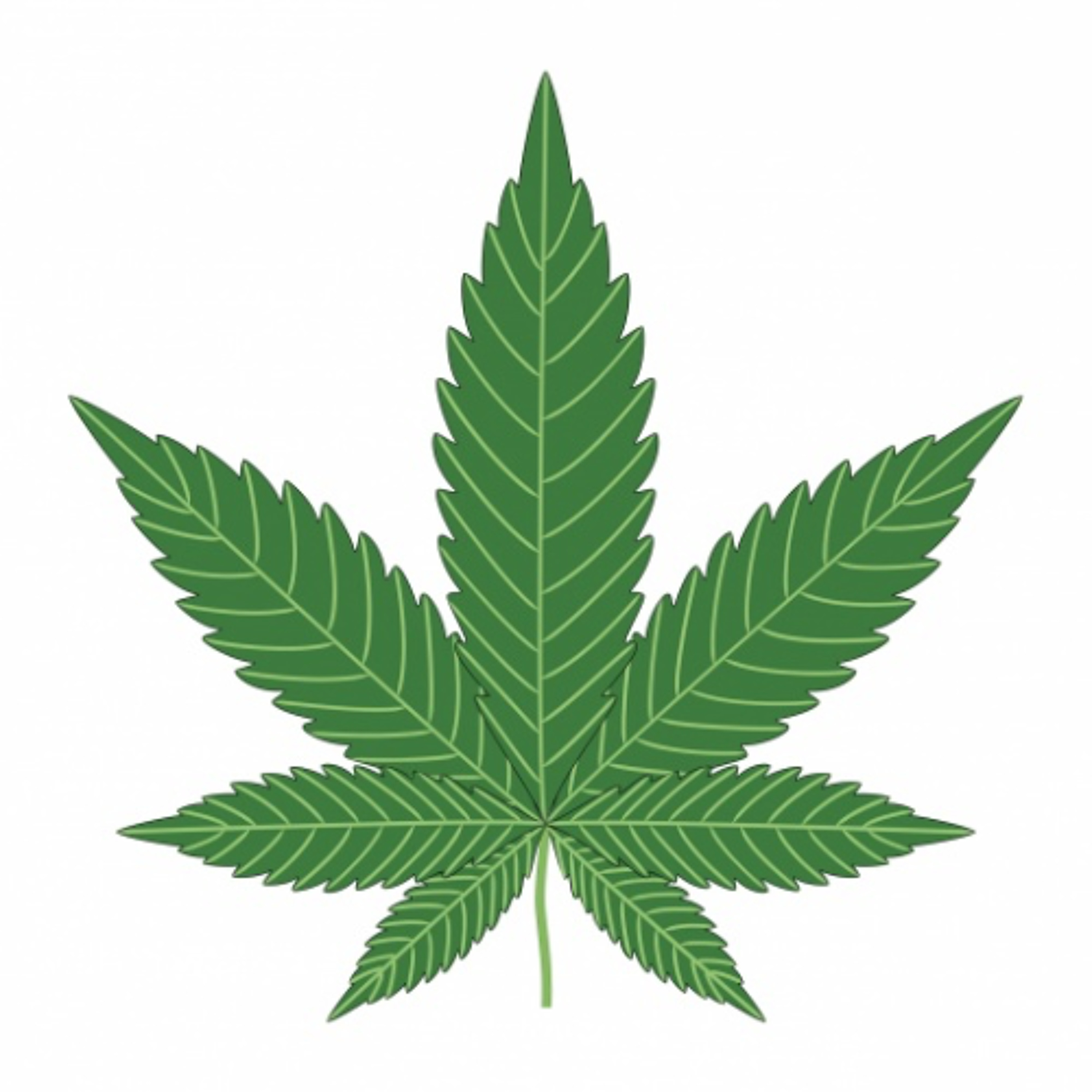 121825  Transgender Care Ban, Rescheduling Cannabis, Paladino's Racism episode artwork