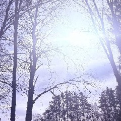 I Know You Know (prod. funeral service)