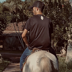 Lida pesada e boa- João Gomes- CD VAQUEJADA TÁ NA MODA