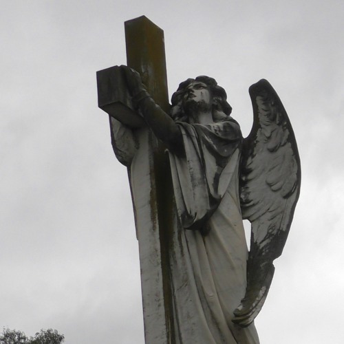 Mᴇᴇᴛ Tʜᴇ EɴD