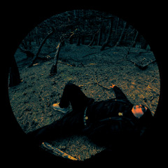 MAC-V - Primal Instinct