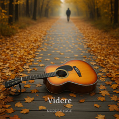 Videre