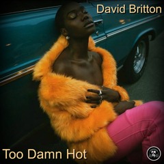 Too Damn Hot#1_1