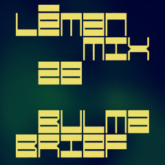 LÉMAN MIX 28 - BULMA BRIEF