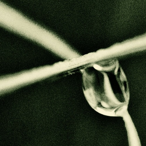 2411010 - Resonator - 1