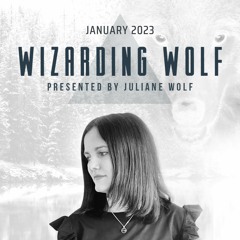 Wizarding Wolf Radio | January 2023 | DI.FM Progressive & Proton Radio & Saturo Sounds