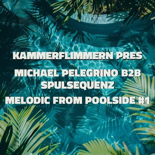 Kammerflimmern Pres  Michael Pelegrino B2B SpuLSeQuEnZ Melodic from Poolside #1.wav
