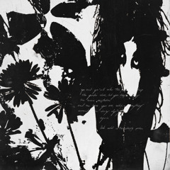 EILEEN GALVIN