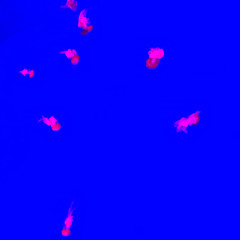 Shhh....Speak Easy 6