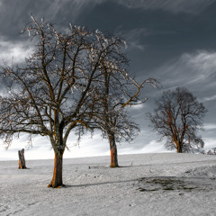 Cold Cloudy Morning