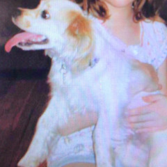 taking the greyhound to detroit to die