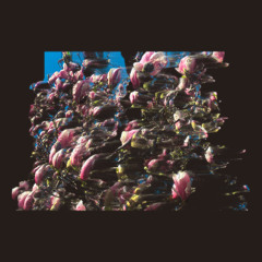 Manatee Commune - Path