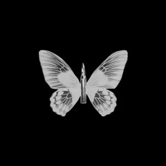 Arctic Monkeys - Bullet with Butterfly Wings