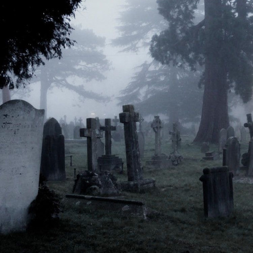 𝙛𝙖𝙡𝙡𝙚𝙣 𝙙𝙤𝙬𝙣