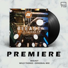 PREMIERE: BEEAST - Wild Things (Original Mix) [NIGHT LIGHT RECORDS]
