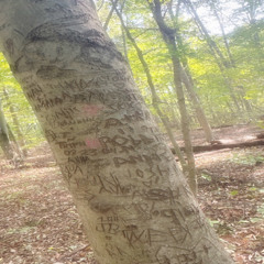 can you bleed in my sunshine <3  )aresden(
