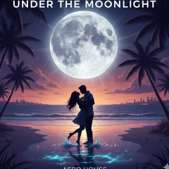Under the Moonlight