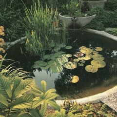 subfam.1 - swamp creatures