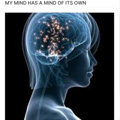 MY MIND HAS A MIND OF ITS OWN