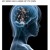 Artwork for MY MIND HAS A MIND OF ITS OWN