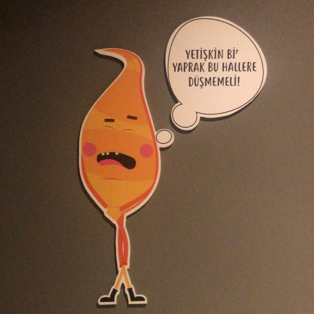 фотосы попок