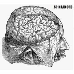 NSD - Euthanasia (Spinalkord Edit)